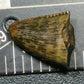 Tyrannosaurid (Teratophoneus?) Tooth Tip-Texas