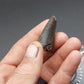 Tylosaurus proriger Tooth-Texas