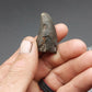 Tylosaurus proriger Tooth-Texas