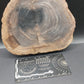 Petrified Wood-Oregon 02