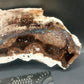 Petrified Wood-Oregon 04