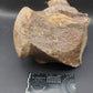 Tylosaurus proriger Vertebra-Texas
