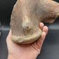 Tylosaurus proriger Vertebra-Texas