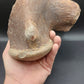 Tylosaurus proriger Vertebra-Texas