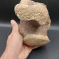 Tylosaurus proriger Vertebra-Texas