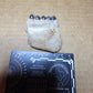 Perchoerus Jaw Section-South Dakota