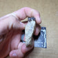 Perchoerus Jaw Section-South Dakota