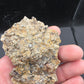Crocodylomorph Tooth In Matrix-Texas