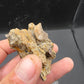 Hadrosaur Teeth and Phalanx in Matrix-Texas