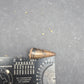 Crocodylomorph Tooth-Texas 03