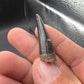 Crocodylomorph Tooth-Texas 02