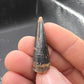 Crocodylomorph Tooth-Texas 02
