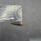 Crocodylomorph Tooth-Texas 02
