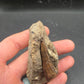 Tyrannosaurid (Teratophoneus?) Tooth-Texas 07