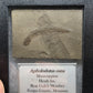 Apholidotus ossuous-Montana