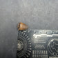 Deinosuchus riograndensis Tooth-Texas 07