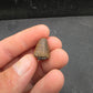Deinosuchus riograndensis Tooth-Texas 07