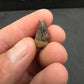 Deinosuchus riograndensis Tooth-Texas 08