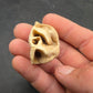 Teleoceras Tooth-Oklahoma 001