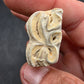 Pliohippus Tooth-Oklahoma 004