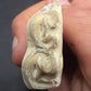 Pliohippus Tooth-Oklahoma 001