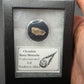 Stony Meteorite-Northwest Africa