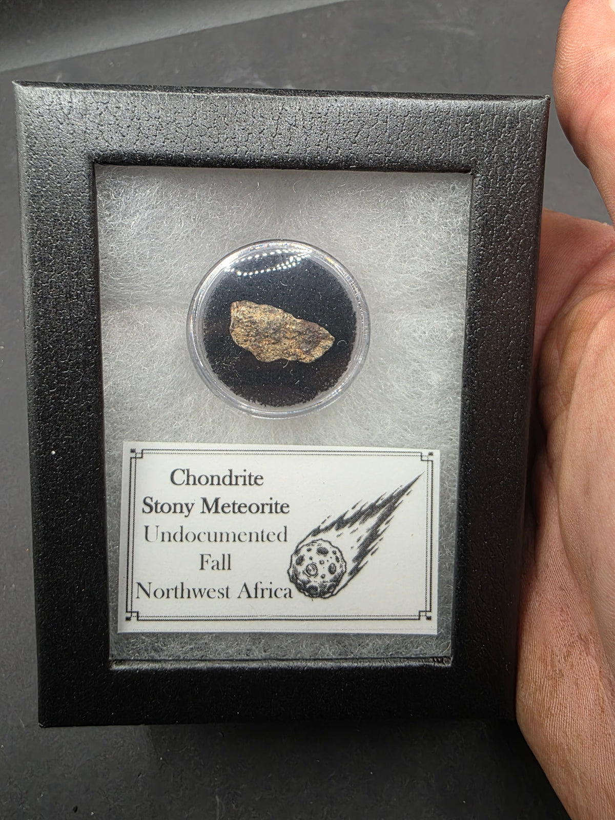 Stony Meteorite-Northwest Africa
