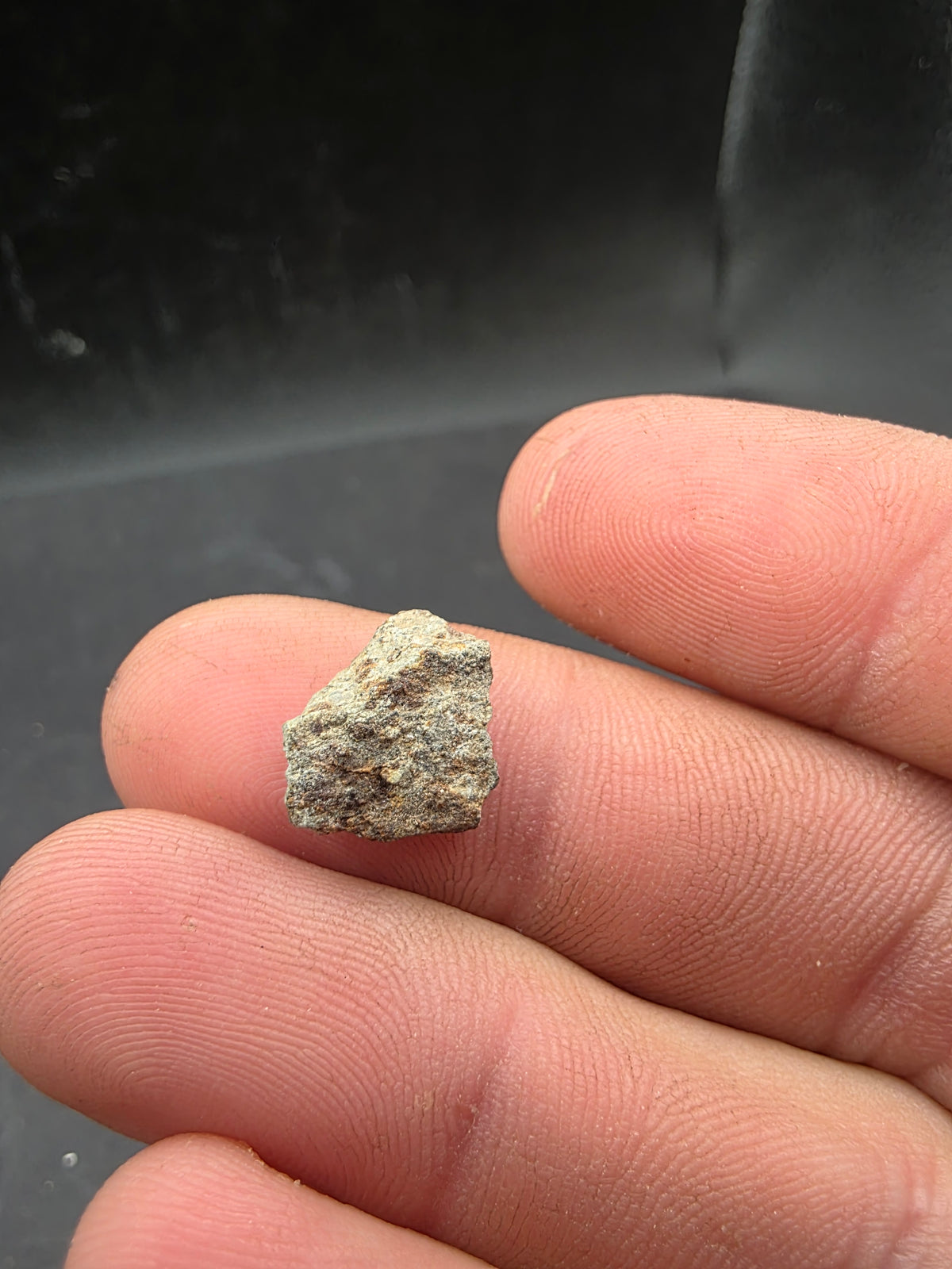Stony Meteorite-Northwest Africa