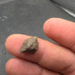 Stony Meteorite-Northwest Africa