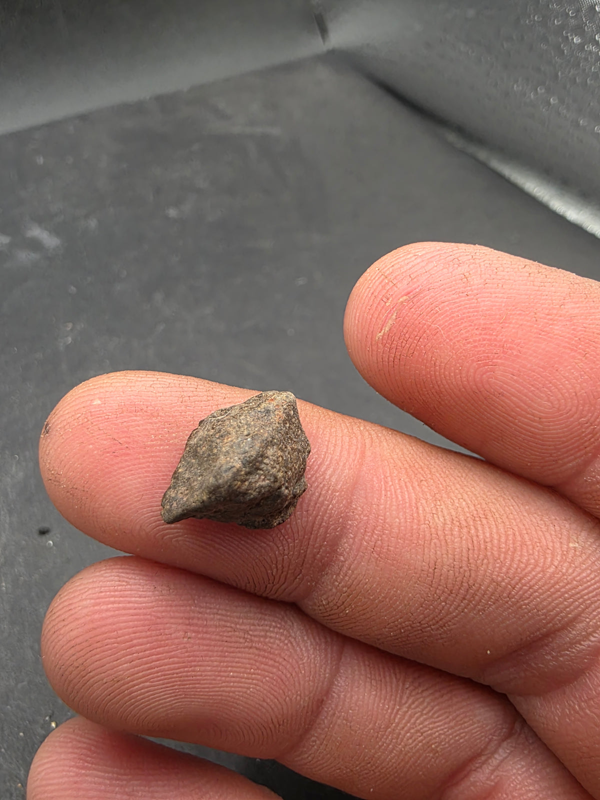 Stony Meteorite-Northwest Africa