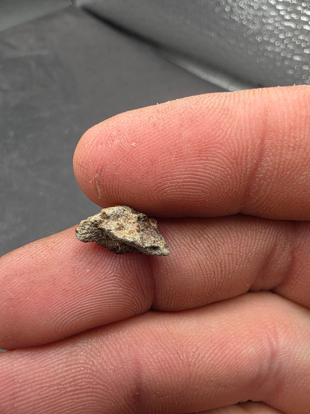 Stony Meteorite-Northwest Africa