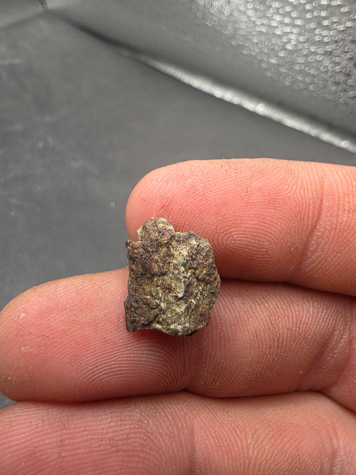 Stony Meteorite-Northwest Africa