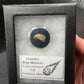 Stony Meteorite-Northwest Africa