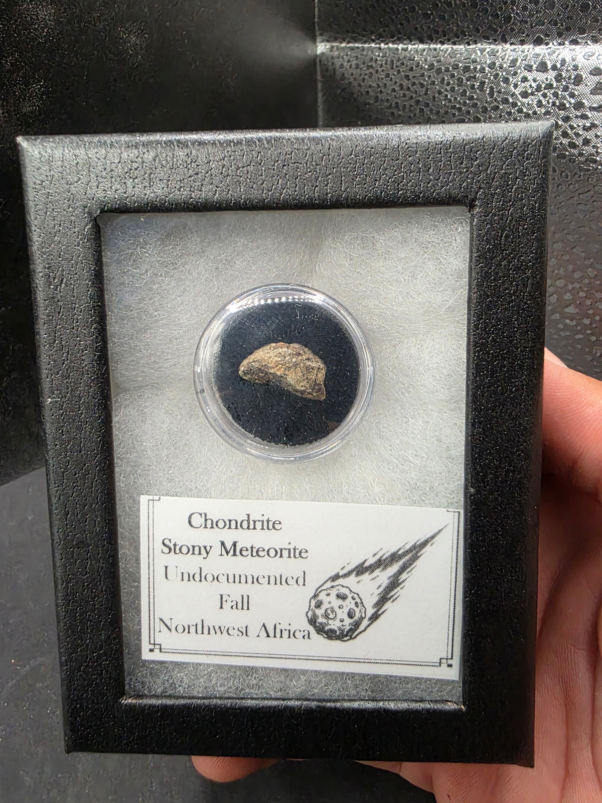 Stony Meteorite-Northwest Africa