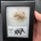 Woolly Mammoth Hair-Siberia Small