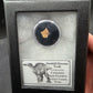 Randomly Selected Hadrosaur Tooth-Texas