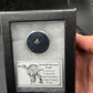 Randomly Selected Hadrosaur Tooth-Texas
