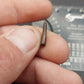 Paronychodon sp. Tooth-Montana