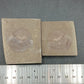 Strepsodus sp. Scale-Montana-BG79