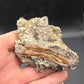 Pterosaur Bone-Texas