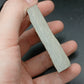 Strepsodus sp. Scale-Montana-BG80