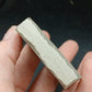 Strepsodus sp. Scale-Montana-BG79