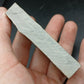 Strepsodus sp. Scale-Montana-BG80