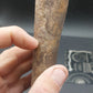 Plesiosaur Femur-Texas