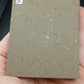 Strepsodus sp. Scale-Montana-BG80