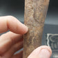 Plesiosaur Femur-Texas
