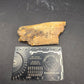 Partial Triceratops Rib on Stand-Montana 01