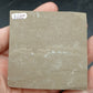 Strepsodus sp. Scale-Montana-BG80