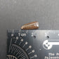 Paronychodon sp. Tooth-Montana