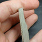 Anthracoceras beargulchensis-Montana-BG73